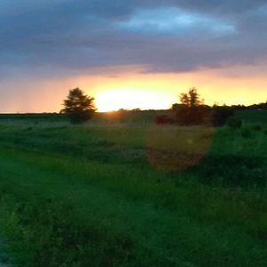 Meet your Posher, Tony